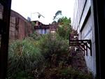 Redfern's Disused platforms