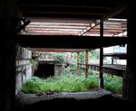 Redfern's Disused platforms