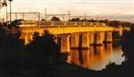 XPT